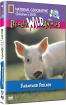 National Geographic - Farmyard Friends - DVD